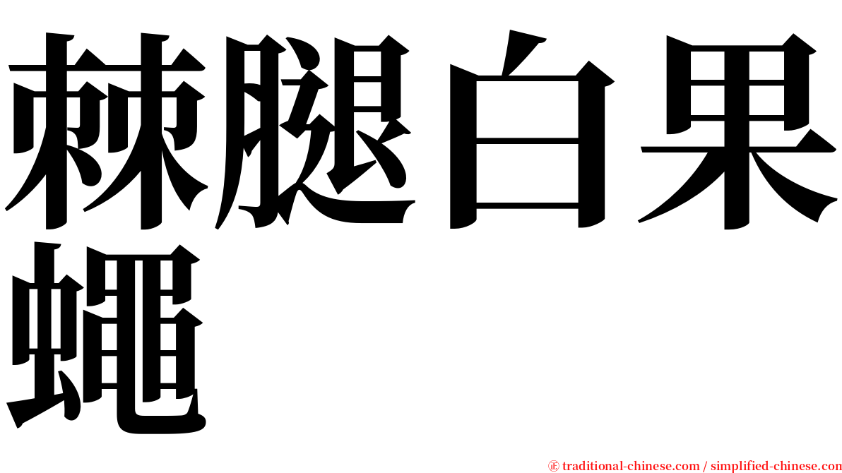 棘腿白果蠅 serif font