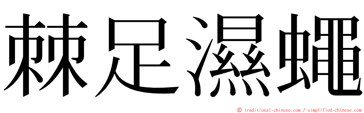 棘足濕蠅 ming font