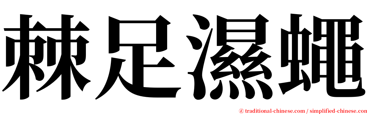 棘足濕蠅 serif font