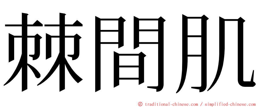 棘間肌 ming font