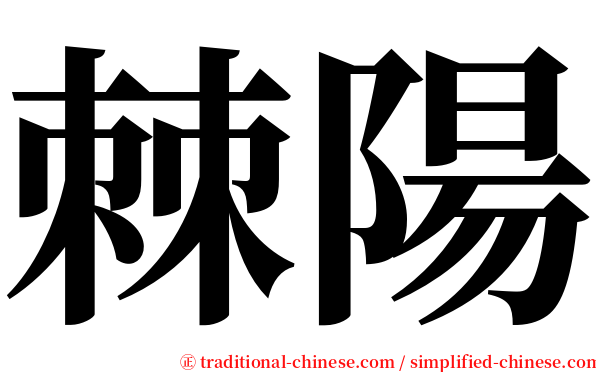 棘陽 serif font