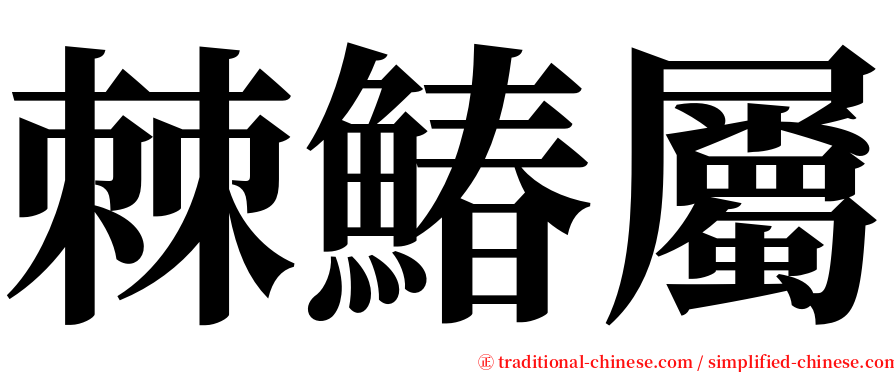 棘鰆屬 serif font