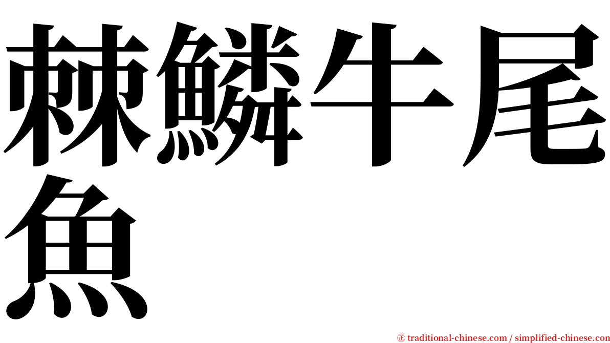 棘鱗牛尾魚 serif font