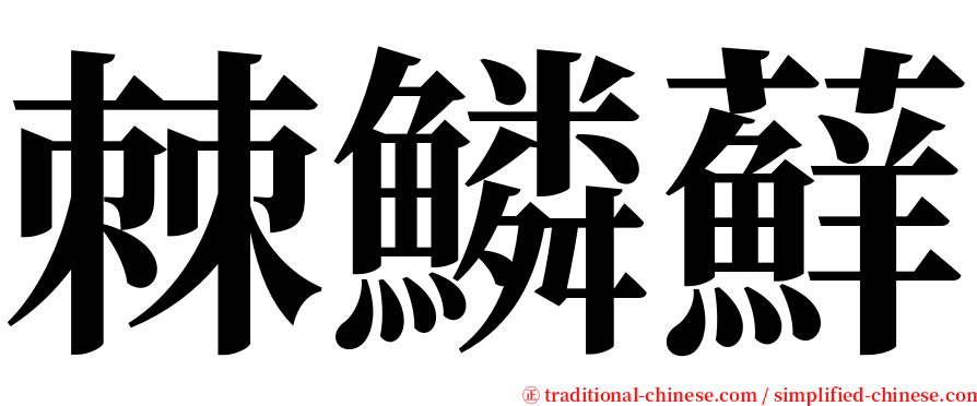 棘鱗蘚 serif font