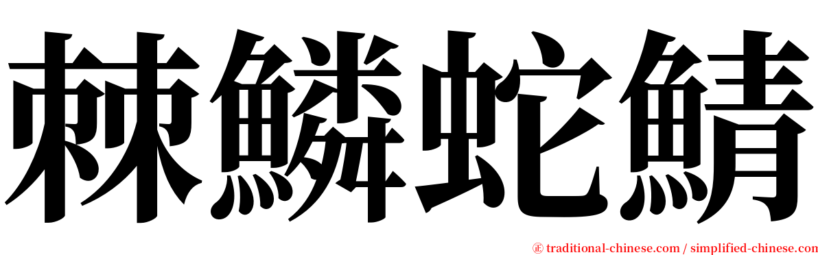 棘鱗蛇鯖 serif font