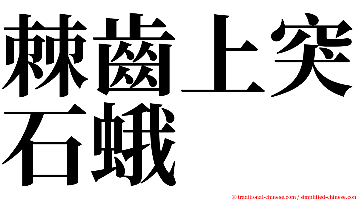 棘齒上突石蛾 serif font