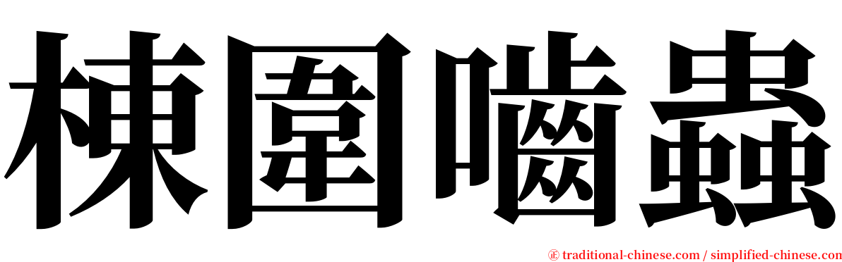 棟圍嚙蟲 serif font