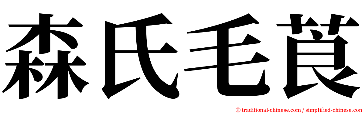 森氏毛莨 serif font