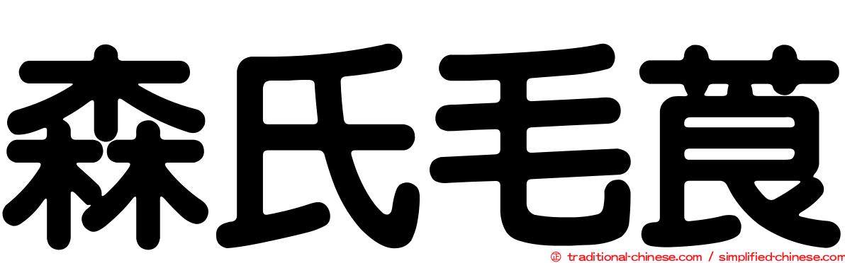 森氏毛莨