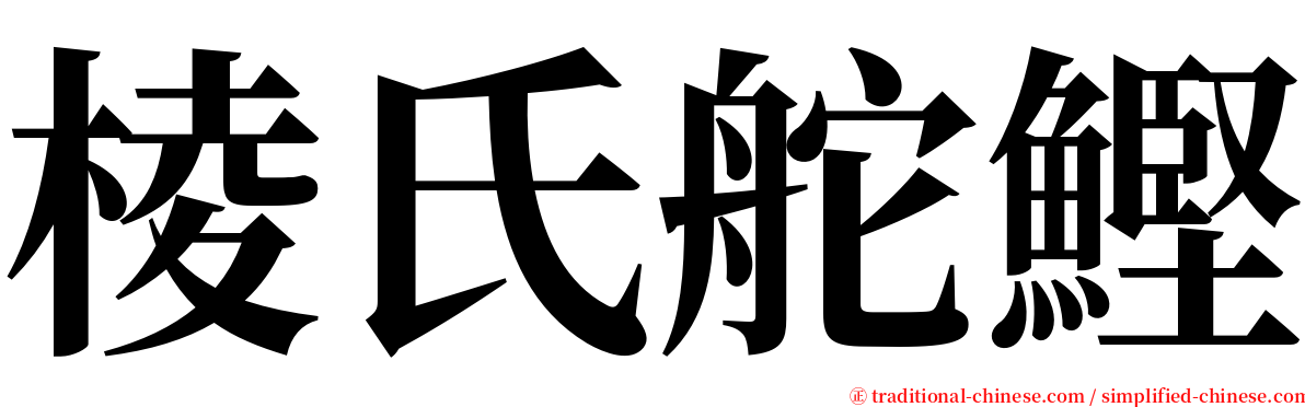 棱氏舵鰹 serif font