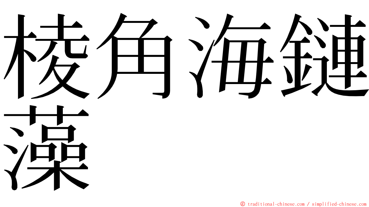 棱角海鏈藻 ming font