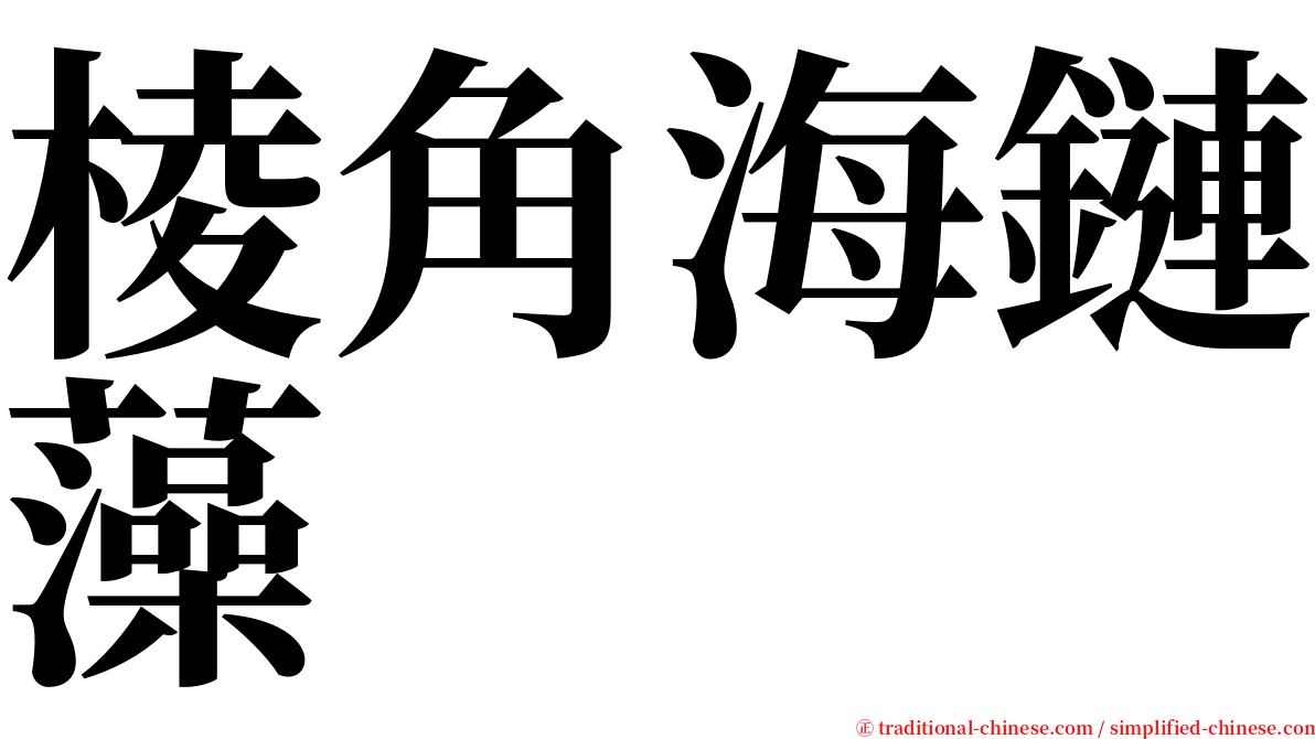 棱角海鏈藻 serif font