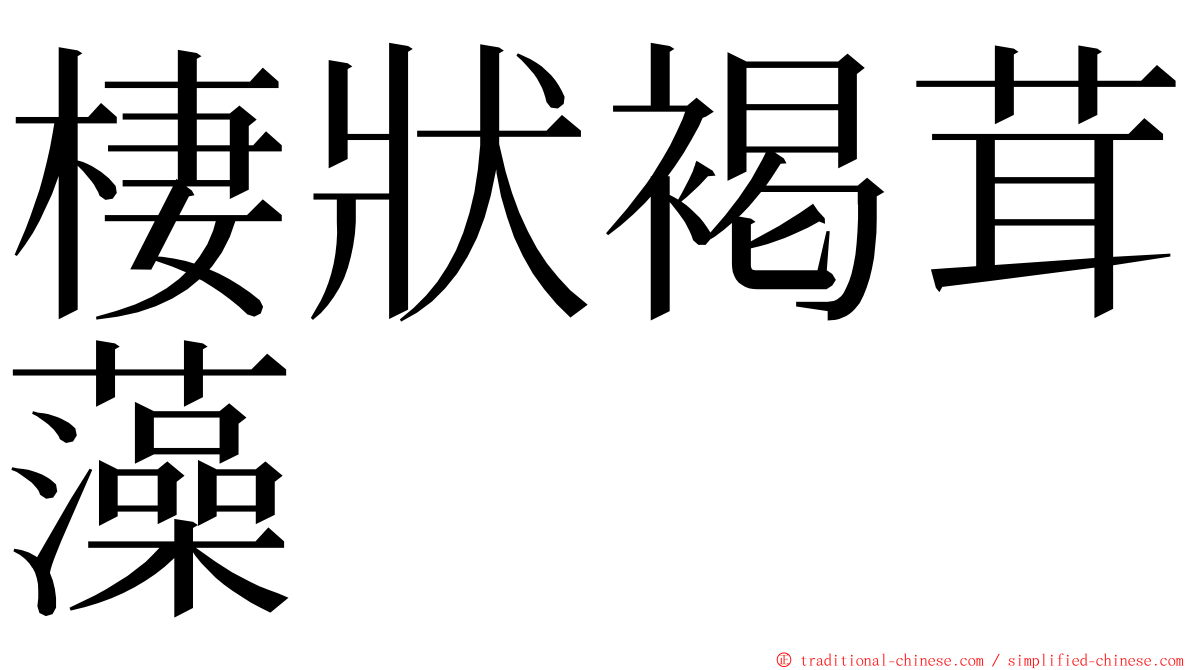 棲狀褐茸藻 ming font