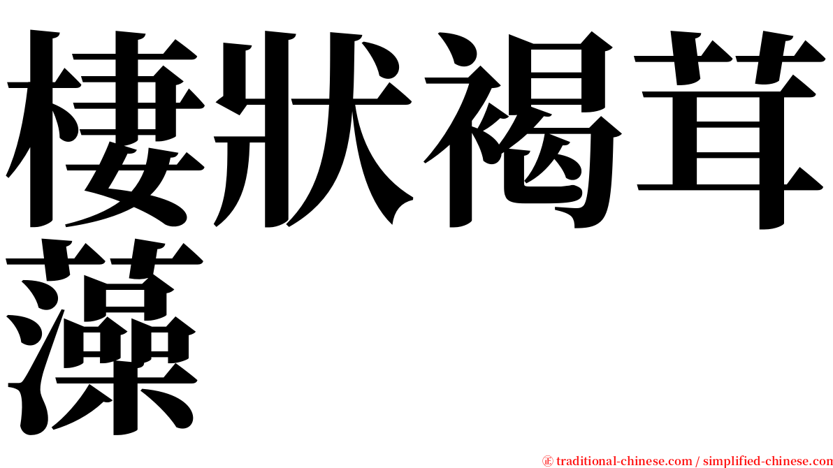棲狀褐茸藻 serif font