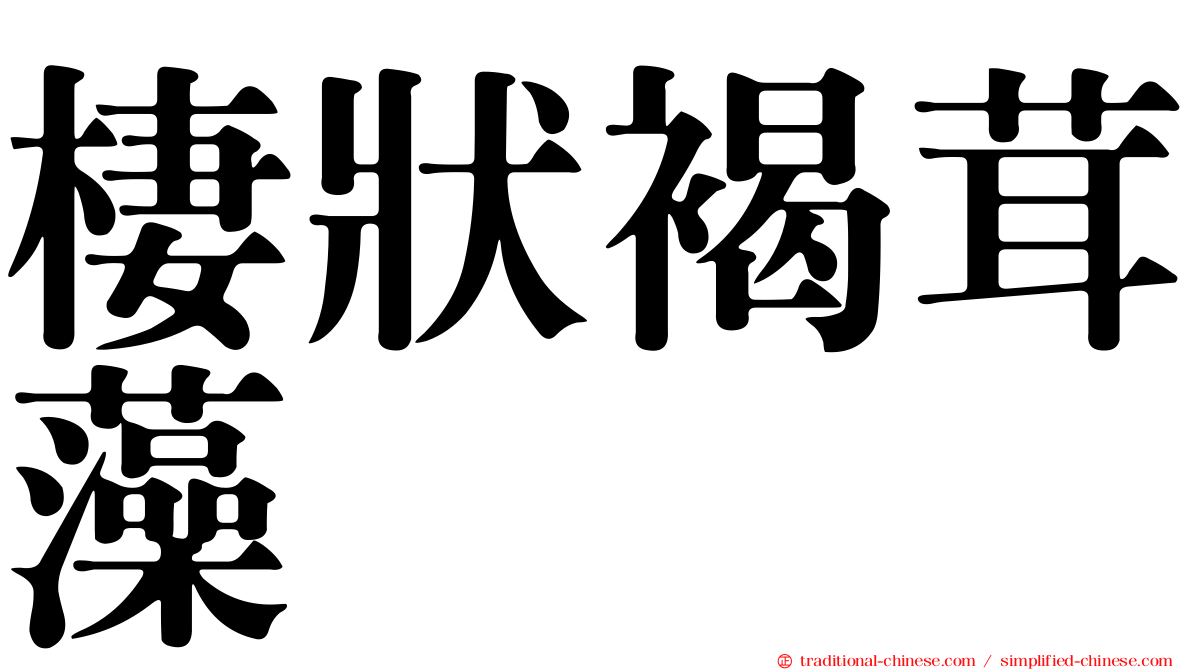 棲狀褐茸藻