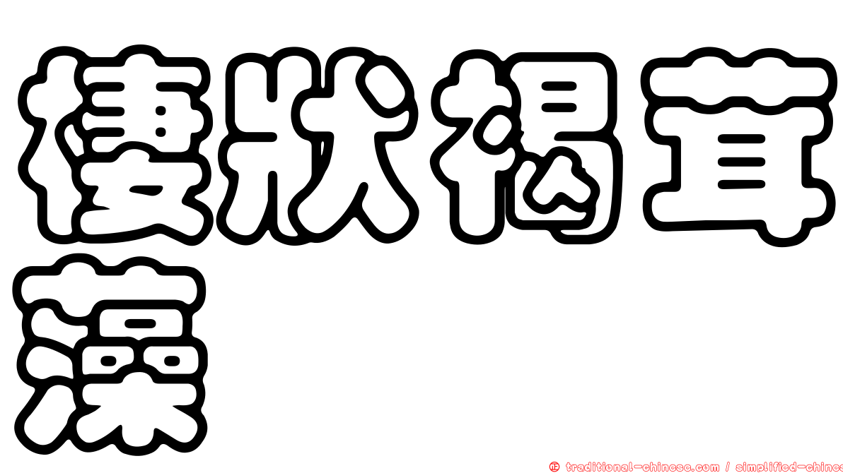 棲狀褐茸藻