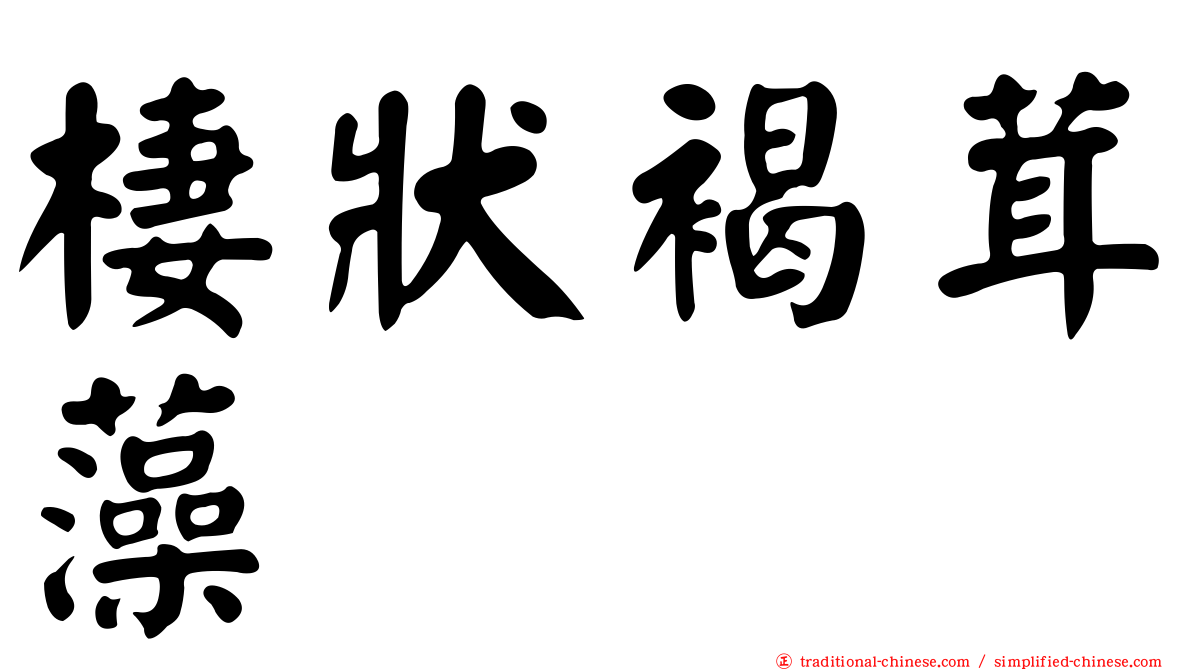 棲狀褐茸藻