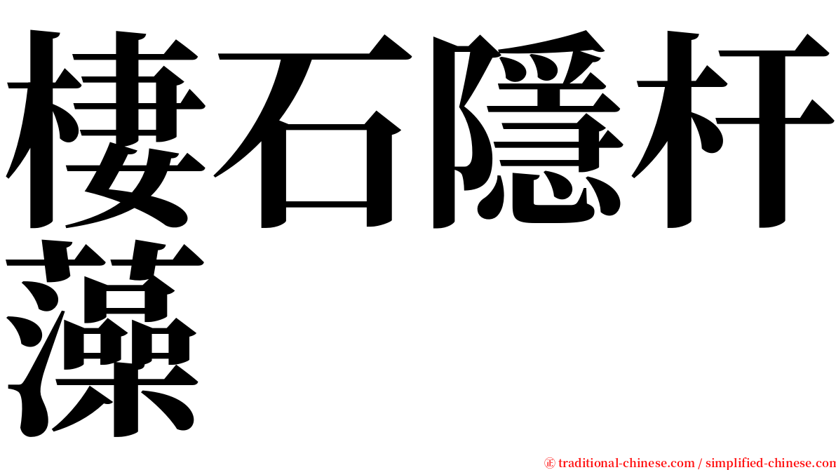 棲石隱杆藻 serif font