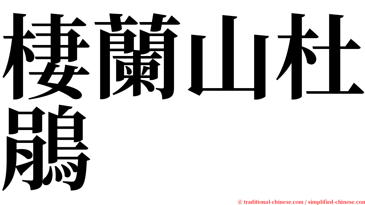 棲蘭山杜鵑 serif font