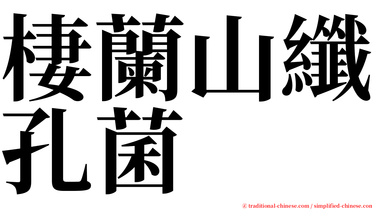 棲蘭山纖孔菌 serif font