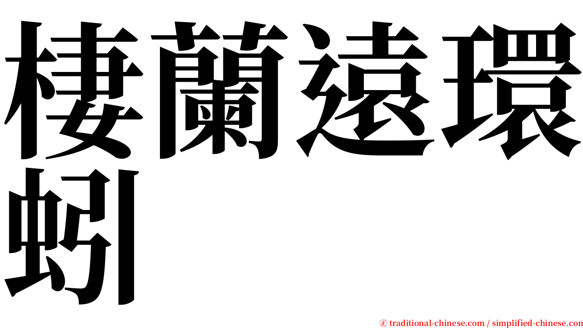 棲蘭遠環蚓 serif font