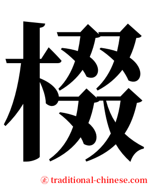 棳 serif font