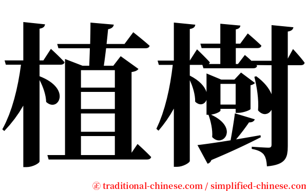 植樹 serif font