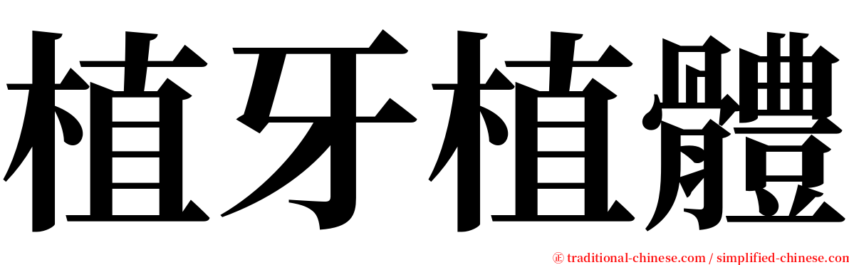 植牙植體 serif font