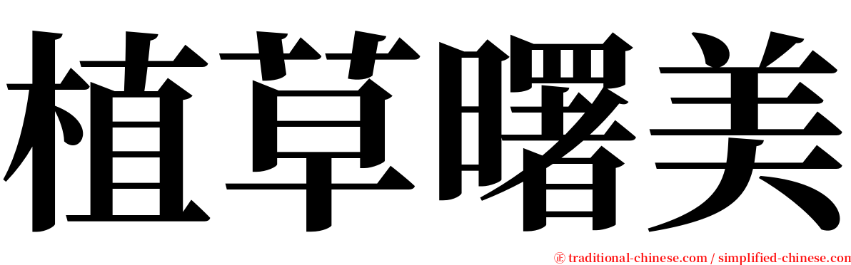 植草曙美 serif font