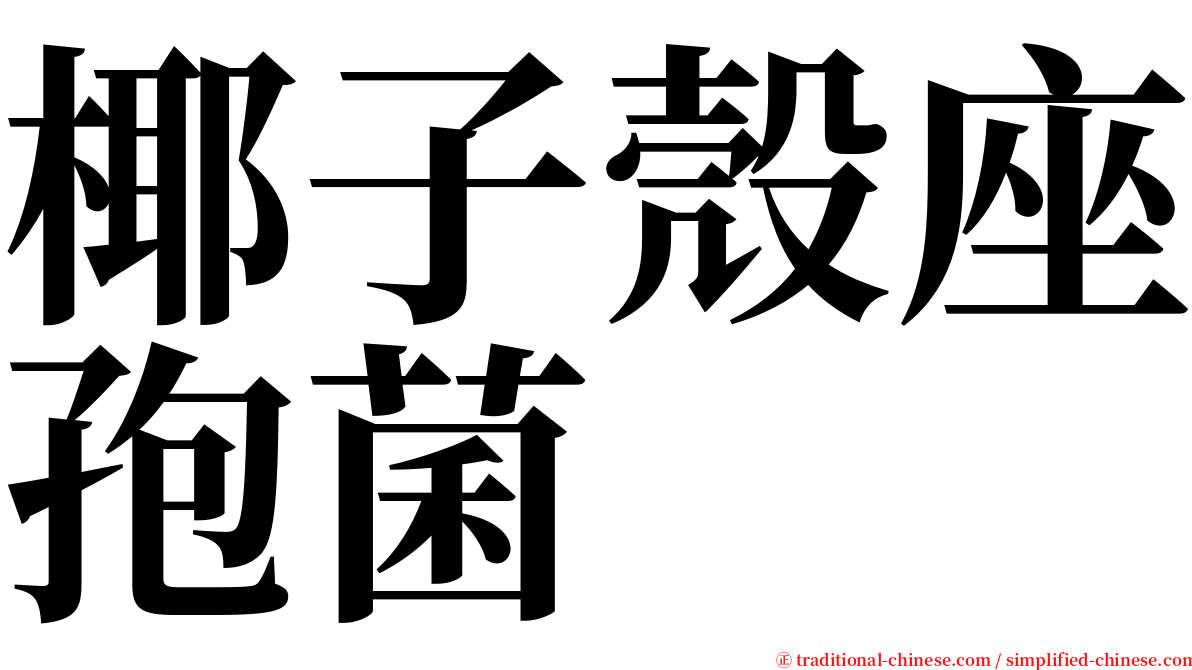 椰子殼座孢菌 serif font