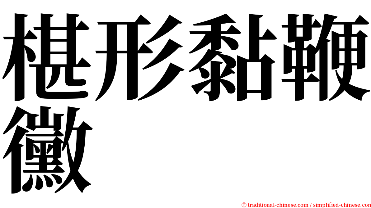 椹形黏鞭黴 serif font