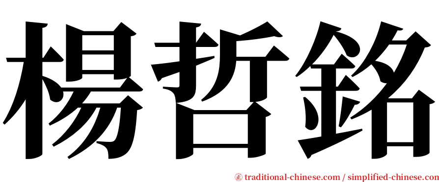 楊哲銘 serif font