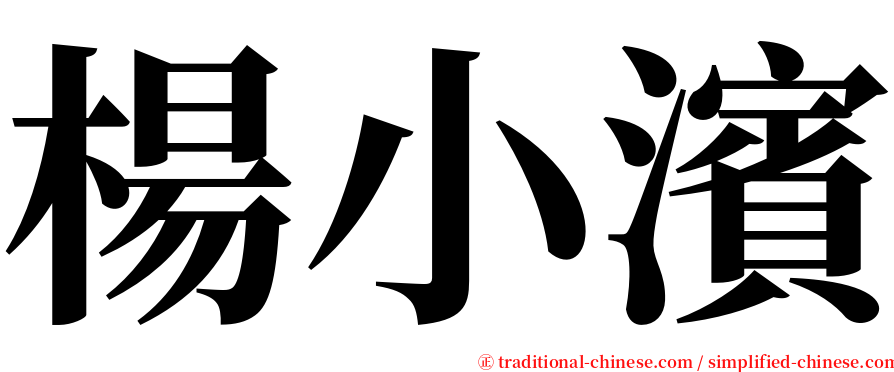 楊小濱 serif font