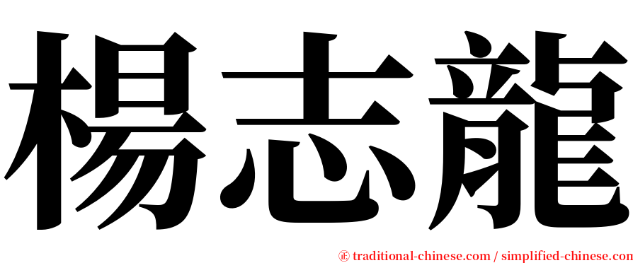 楊志龍 serif font