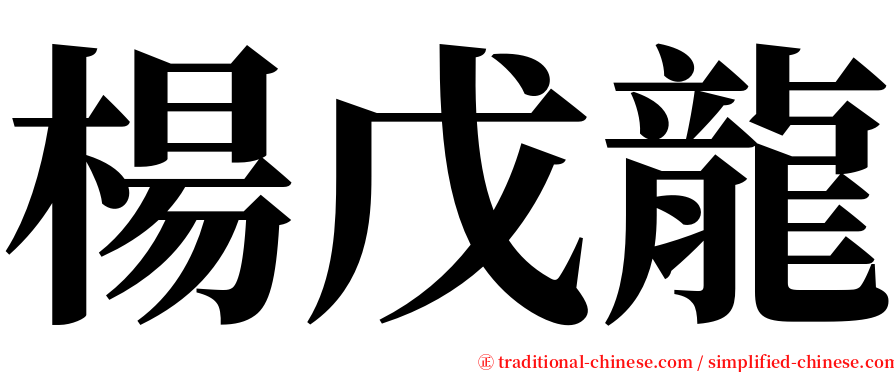 楊戊龍 serif font