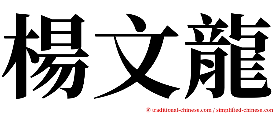 楊文龍 serif font