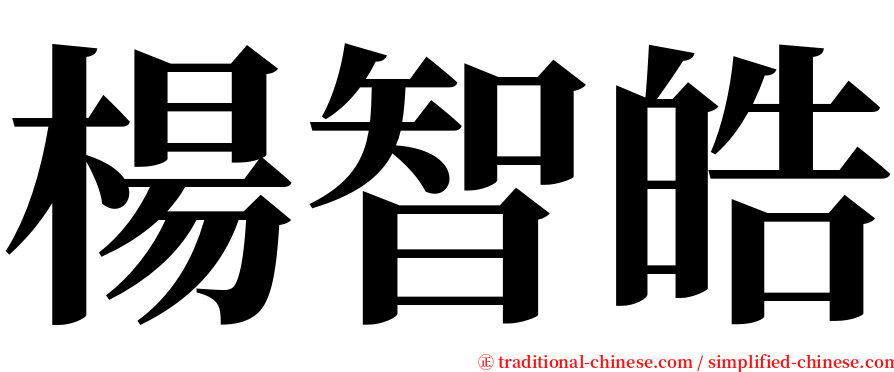 楊智皓 serif font