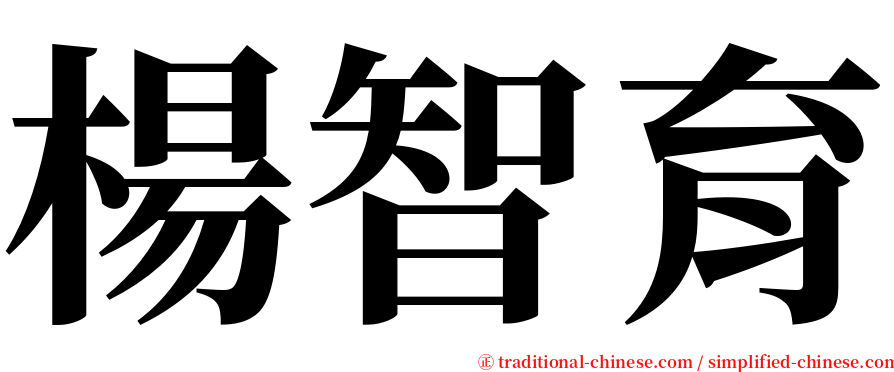 楊智育 serif font