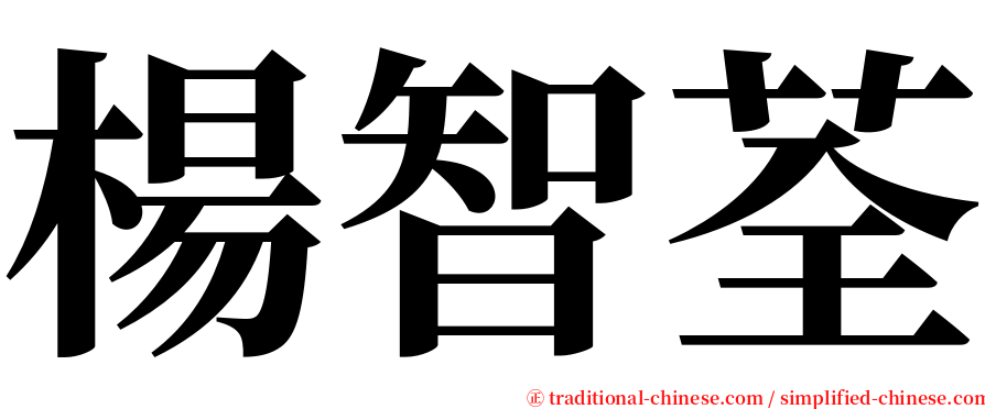 楊智荃 serif font