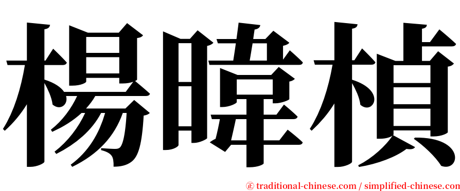 楊暐楨 serif font