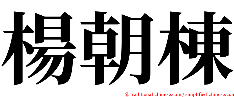 楊朝棟 serif font