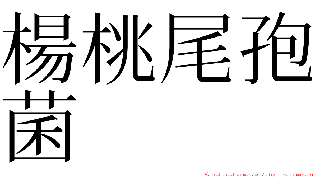 楊桃尾孢菌 ming font