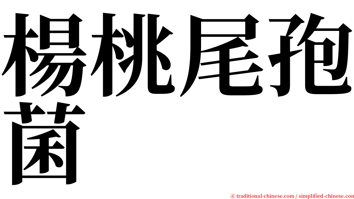 楊桃尾孢菌 serif font