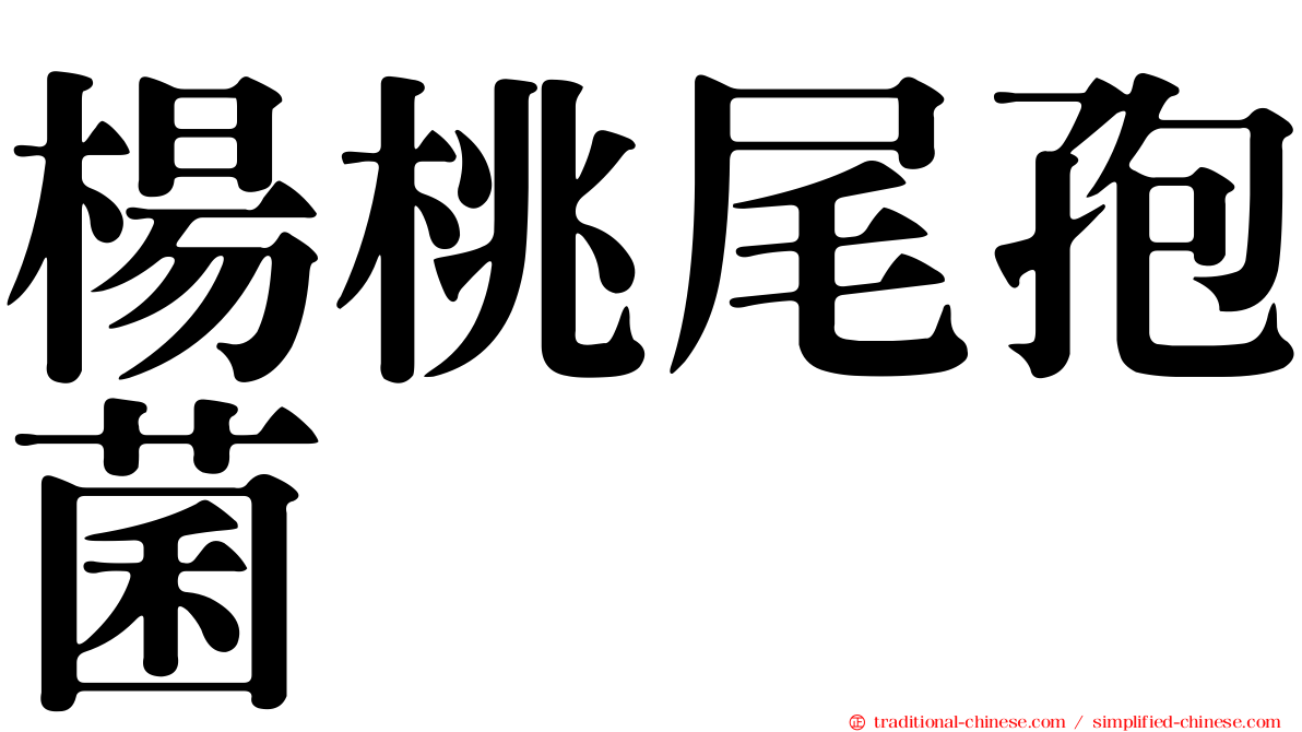 楊桃尾孢菌