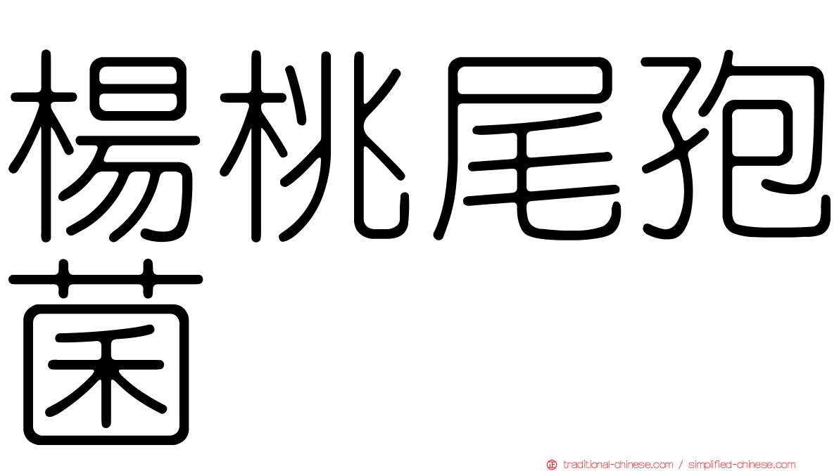 楊桃尾孢菌