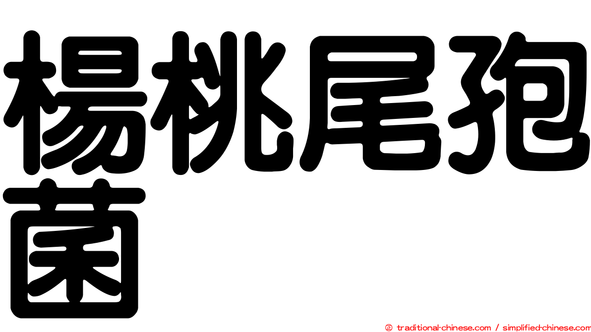 楊桃尾孢菌