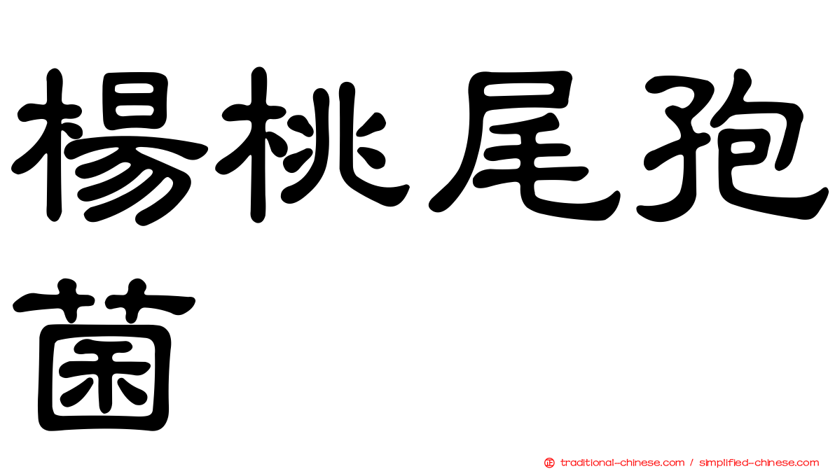 楊桃尾孢菌