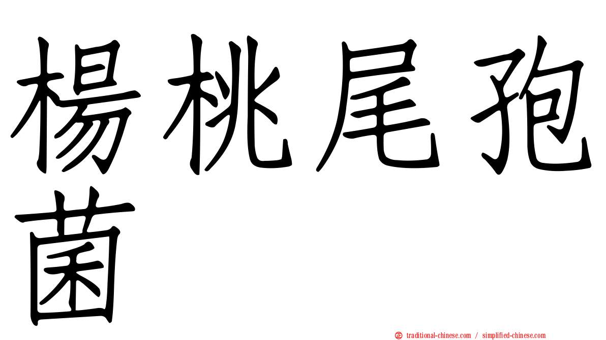 楊桃尾孢菌