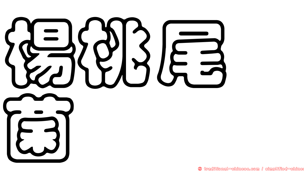 楊桃尾孢菌