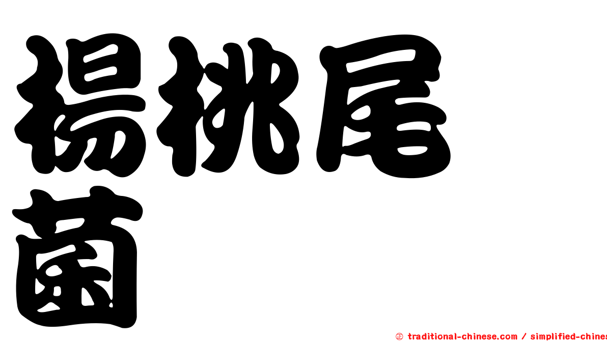 楊桃尾孢菌